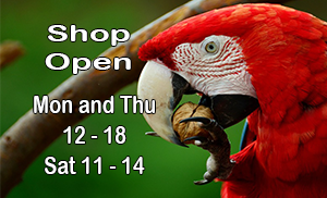 Shop