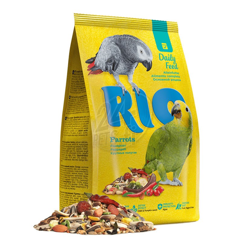 RIO_feed_parrots