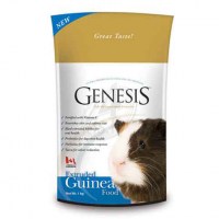 genesis_guinea